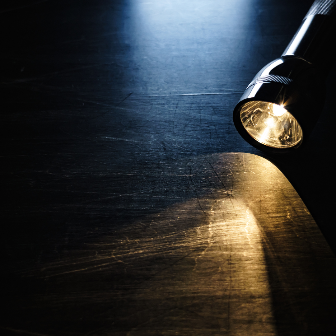 Property Inspection, Floor Damage, Virtual Career